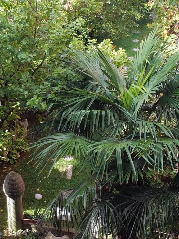 Appartamento Garden Ca' Rezzonico Veneza Exterior foto