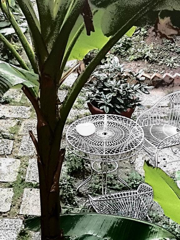 Appartamento Garden Ca' Rezzonico Veneza Exterior foto