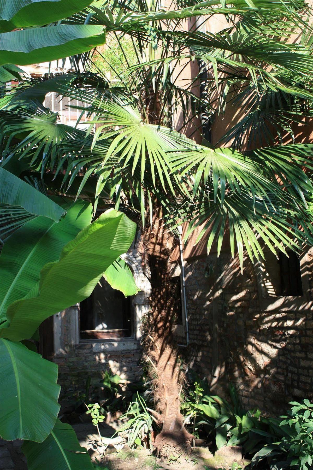 Appartamento Garden Ca' Rezzonico Veneza Exterior foto
